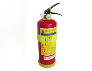 Bình Chữa Cháy Bột BC 2kg tại Bình Dương