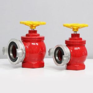 Van Góc Chữa Cháy D50/D65 tại Thuận An TP Hồ Chí Minh