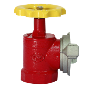 Van Gang D50 tại Thuận An Bình Dương