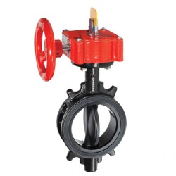 Van bướm DN50 TYCO tại Tân Uyên Bình Dương